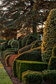 BRODSWORTH HALL, YORKSHIRE: DAWN. WINTER, JANUARY, TOPIARY EVERGREEN, BORDER, FORMAL, GARDEN, COUNTRY, CLIPPED, HEDGE, HEDGES, HEDGING, STATUE, CEDAR OF LEBANON