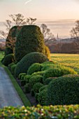 BRODSWORTH HALL, YORKSHIRE: DAWN. WINTER, JANUARY, TOPIARY EVERGREEN, BORDER, FORMAL, GARDEN, COUNTRY, CLIPPED, HEDGE, HEDGES, HEDGING