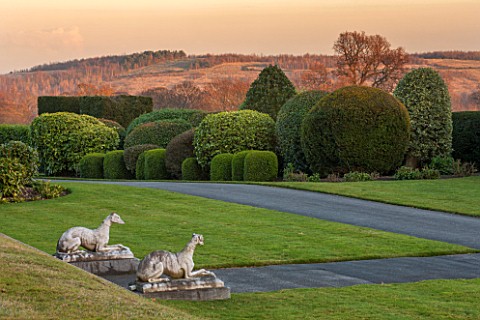 BRODSWORTH_HALL_YORKSHIRE_VIEW_ACROSS_LAWN_TO_BORDER_OF_TOPIARY_VICTORIAN_COUNTRY_GARDEN_FORMAL_STAT