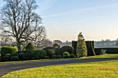 BRODSWORTH HALL, YORKSHIRE: VIEW ACROSS LAWN TO BORDER OF CLIPPED EVERGREEN TOPIARY. VICTORIAN, COUNTRY, GARDEN, COUNTRYSIDE, EVENING