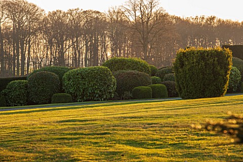 BRODSWORTH_HALL_YORKSHIRE_VIEW_ACROSS_LAWN_TO_BORDER_OF_CLIPPED_EVERGREEN_TOPIARY_VICTORIAN_COUNTRY_