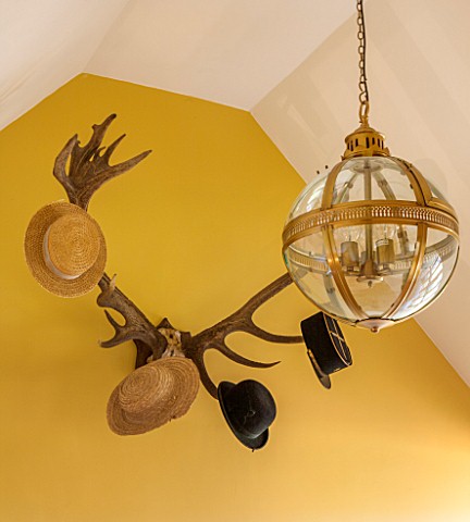 THE_FREETH_HEREFORDSHIRE_HALLWAY__PRINT_ROOM_YELLOW_FROM_FARROW_AND_BALL_PAINTED_WALLS_ANTLER_HAT_RA