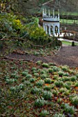 PAINSWICK ROCOCO GARDEN, GLOUCESTERSHIRE: WOOD WITH SNOWDROPS. WHITE, FLOWERS, WINTER, JANUARY, GALANTHUS, WOODLAND, DRIFTS, GARDEN, PATH, PATHS, EXEDRA, GAZEBO, FOLLY