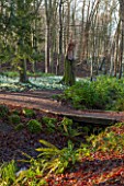 PAINSWICK ROCOCO GARDEN, GLOUCESTERSHIRE: WOOD WITH SNOWDROPS. WHITE, FLOWERS, WINTER, JANUARY, GALANTHUS, WOODLAND, DRIFTS, GARDEN, PATH, PATHS, BRIDGE
