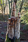 PAINSWICK ROCOCO GARDEN, GLOUCESTERSHIRE: BEECH TREE IN WOODLAND SCULPTED INTO A GERMAN CASTLE BY CHAINSAW SCULPTOR DENIUS PARSON. ORNAMENT, SCULPTURE, WOOD