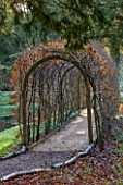PAINSWICK ROCOCO GARDEN, GLOUCESTERSHIRE: PATH THROUGH BEECH ARCH BESIDE THE LAKE. PATHS, ARCHES, TUNNEL, PERGOLA, WALKWAY