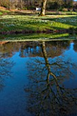 PAINSWICK ROCOCO GARDEN, GLOUCESTERSHIRE: THE EXEDRA AND SNOWDROPS REFLECTED IN THE POOL IN WINTER. JANUARY, REFLECTION, REFLECTIONS, POND, LAKE, WATER, FOLLY, FOLLIES, TREE
