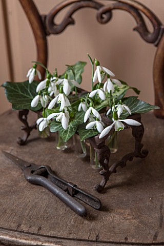 HILL_CLOSE_GARDENS_WARWICK_OLD_CHAIR_IN_SHED_WITH_METAL_CONTAINER_PLANTED_WITH_SNOWDROPS_GALANTHUS_S