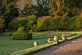 COLESBOURNE PARK, GLOUCESTERSHIRE: THE LAWN AND TOPIARY HEDGE IN FEBRUARY. FORMAL, COUNTRY, GARDEN, WINTER, EARLY SPRING, CLIPPED