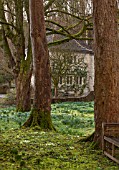 ABLINGTON MANOR, GLOUCESTERSHIRE: GAZEBO, SUMMER HOUSE IN FRENCH STYLE SEEN THROUGH WOODS - CLASSIC COUNTRY GARDEN, ROMANCE, ROMANTIC, WINTER, MOSS, FEBRUARY, PRIMROSES