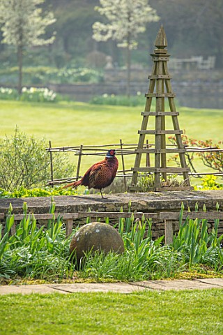 ABLINGTON_MANOR_GLOUCESTERSHIRE_WALL_WITH_PHEASANT_COUNTRY_GARDEN_SPRING_ENGLISH