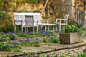 ABLINGTON MANOR, GLOUCESTERSHIRE: STONE TERRACE WITH WOODEN TABLE AND CHAIRS AND GRAPE HYACINTHS GROWING BETWEEN CRACKS. MUSCARI, SPRING, ENGLISH, GARDEN, COUNTRY, DAFFODILS