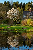 FELLEY PRIORY, NOTTINGHAMSHIRE:THE POND IN SPRING WITH WHITE MAGNOLIA REFLECTED IN POOL. TREE, FLOWERS, BLUE, SKY, WATER, ENGLISH, COUNTRY, GARDEN, POOL, WATER, REFLECTIONS