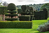 FELLEY PRIORY, NOTTINGHAMSHIRE: CLIPPED YEW TOPIARY IN SPRING. APRIL, HEDGE, HEDGES, HEDGING, FORMAL, ENGLISH, GARDEN, COUNTRY, GREEN, TAXUS