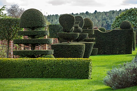 FELLEY_PRIORY_NOTTINGHAMSHIRE_CLIPPED_YEW_TOPIARY_IN_SPRING_APRIL_HEDGE_HEDGES_HEDGING_FORMAL_ENGLIS