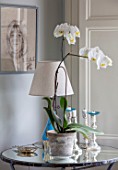 LONDON HOUSE DESIGNED BY JULIE SIMONSEN. WHITE ORCHID ON MIRRORED SIDE TABLE WITH LAMP AND CANDLESTICKS.