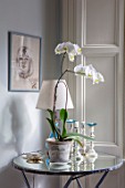 LONDON HOUSE DESIGNED BY JULIE SIMONSEN. WHITE ORCHID ON MIRRORED SIDE TABLE IN LIVING ROOM WITH LAMP AND CANDLESTICKS