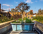 LONDON HOUSE DESIGNED BY JULIE SIMONSEN. SMALL ROOF GARDEN WITH ANTIQUE LEAD TUB FROM MYRIAD ANTIQUES PLANTED WITH WISTERIA