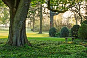 MORTON HALL GARDENS, WORCESTERSHIRE: VIEW OUT TO PARKLAND AT SUNRISE - TREES, LAWN, SUNLIGHT, CLASSIC, GARDEN, COUNTRY, ENGLISH, CHESTNUT TREE, FERNS, STONE, BENCH, SPRING