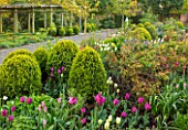 MORTON HALL, WORCESTERSHIRE: THE SOUTH GARDEN WITH TULIPS AND CLIPPED BOX BALLS. MORNING LIGHT, ENGLISH, COUNTRY, GARDEN, APRIL, BORDER, FLOWERS, STATUE, STATUARY