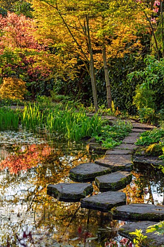 MORTON_HALL_GARDENS_WORCESTERSHIRE_THE_STROLL_GARDEN_STEPPING_STONES_POOL_POND_SPRING_MORNING_LIGHT_