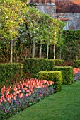 PASHLEY MANOR GARDEN, EAST SUSSEX. SPRING - VIEW TO MANOR HOUSE WITH LAWN AND TULIPS - TULIPA AMAZONE. HEDGE, HEDGES, HEDGING, GARDEN, ENGLISH, APRIL, COUNTRY