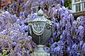 PASHLEY MANOR GARDEN, EAST SUSSEX. SPRING. LEAD URN, CONTAINER WITH WISTERIA. PURPLE, APRIL, ENGLISH, COUNTRY