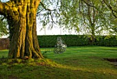MITTON MANOR, STAFFORDSHIRE: BUBBLE SWING SEAT BY MYBURGH DESIGNS BENEATH BEECH TREE. SWING SEAT, FORMAL, LAWN, APRIL