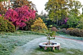 HOLE PARK, KENT: WOODEN TREE SEAT, LAWN, MALUS PROFUSION. WOODS, PATH, PATHWAYS, COUNTRY, GARDENS, ENGLISH, MAY, SPRING, PINK, BLOSSOM
