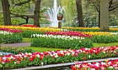 KEUKENHOF, NETHERLANDS: HOLLAND, TULIPS AND LAWN WITH FOUNTAIN. WOODS, WOODLAND, FORMAL, FLOWERS, BLOOMS, BLOOMING, MAY, SPRING