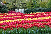KEUKENHOF, NETHERLANDS: HOLLAND, TULIPS. FOUNTAIN. WOODS, WOODLAND, FORMAL, FLOWERS, BLOOMS, BLOOMING, MAY, SPRING
