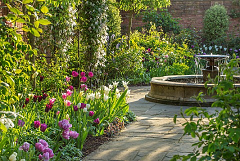 MORTON_HALL_WORCESTERSHIRE_SPRING_APRIL_PATH_WITH_TULIPS_WATER_FOUNTAIN_ARCH_WITH_CLEMATIS_CLASSIC_F