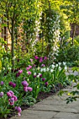 MORTON HALL, WORCESTERSHIRE: SPRING, APRIL, PATH WITH TULIPS, ARCH WITH CLEMATIS. CLASSIC, FORMAL, ENGLISH, COUNTRY, GARDEN