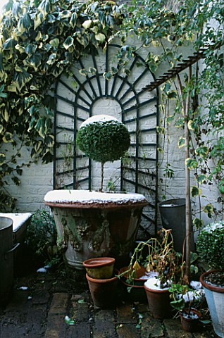 SMALL_TOWN_GARDEN_IN_WINTER_BRICK_COURTYARD_WITH_ARCHED_TRELLIS__HEDERA_ON_WALL__TERRACOTTA_CONTAINE
