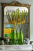 DESIGNER BUTTER WAKEFIELD, LONDON - THE FRONT ROOM - MIRROR ABOVE FIREPLACE WITH  YELLOW FLOWERS OF EREMURUS IN GREEN GLASS JARS, CONTAINERS
