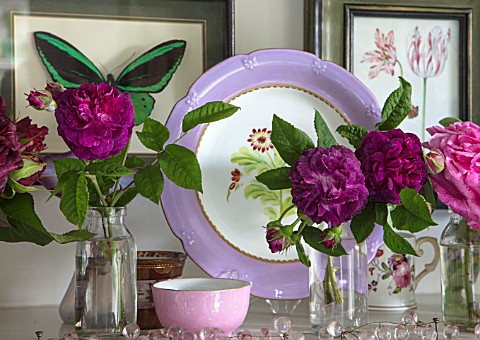BUTTER_WAKEFIELD_HOUSE_LONDON_THE_KITCHEN__SHELF_WITH_CONTAINERS_VASES_OF_RED_ROSES_CUT_FROM_THE_GAR