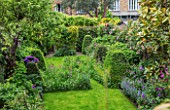 BUTTER WAKEFIELD HOUSE, LONDON: GARDEN WITH LAWN, STONE CONTAINER WITH HYDRANGEA, WILDFLOWER MEADOW, CLIPPED TOPIARY BOX PYRAMIDS. PATH, GRASS, LAWN, SUMMER, JUNE, TOWN, GARDEN
