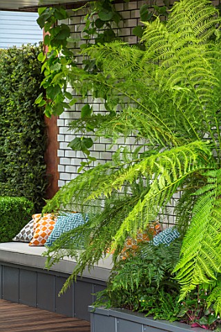 CHELSEA_FLOWER_SHOW_2017_CITY_LIVING_GARDEN_DESIGNED_BY_KATE_GOULD_MODERN_CONTEMPORARY_FOLIAGE_LIVIN