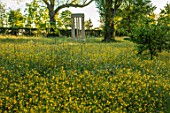 MORTON HALL GARDENS, WORCESTERSHIRE: BUTTERCUPS IN MEADOW WITH MONOPTEROS IN BACKGROUND. MORNING, SUNRISE, YELLOW, DRIFT, SPRING, EARLY SUMMER, PARKLAND, FOLLY