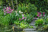 MORTON HALL GARDENS, WORCESTERSHIRE: CANDELABRA PRIMULAS BESIDE THE UPPER POND. POOL, WATER, MAY, SPRING, WOODLAND, SHADE