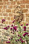 THE CONIFERS, OXFORDSHIRE: DESIGNER CLIVE NICHOLS - HEAD BY FIONA BARRATT ON WALL WITH CIRSIUM RIVULARE ATROPURPUREUM. COTSWOLDS, ORNAMENT