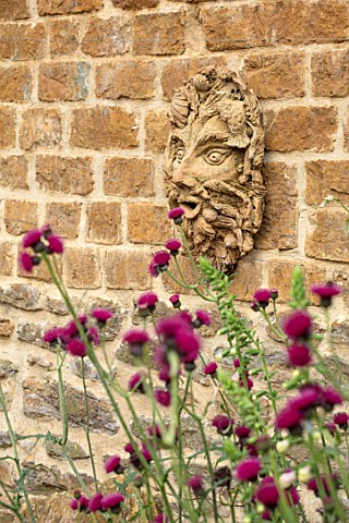 THE_CONIFERS_OXFORDSHIRE_DESIGNER_CLIVE_NICHOLS__HEAD_BY_FIONA_BARRATT_ON_WALL_WITH_CIRSIUM_RIVULARE