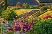 PETTIFERS, OXFORDSHIRE: SLOPING LAWN WITH BORDERS OF ALLIUM PURPLE SENSATION. MAY, SUMMER, BULB, BULBS, BLOOMING, FLOWERS, FLOWERBEDS, BED, BEDS, COUNTRY, CLASSIC, GARDENS