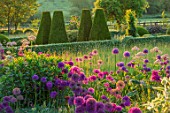 PETTIFERS, OXFORDSHIRE: BORDER OF ALLIUM PURPLE SENSATION WITH PARTERRE, MAY, SUMMER, BULB, BULBS, BLOOMING, FLOWERS, FLOWERBEDS, COUNTRY, CLASSIC, GARDENS