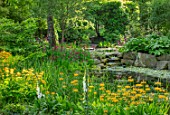 MORTON HALL, WORCESTERSHIRE: PRIMULA BULLEYANA BESIDE THE LOWER POND, STROLL GARDEN, PERENNIALS, SPRING, YELLOW, GOLDEN , FLOWERS, CANDELABRA, WOODLAND, SHADE, SHADY, WATER, POOL