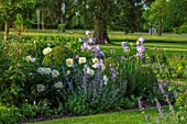 MORTON HALL, WORCESTERSHIRE: SOUTH GARDEN, CLIPPED YOPIARY BOX, LAWN, IRIS ANNABELLE JANE, PAEONIA KRINKLED WHITE. SUMMER, SPRING, HERBACEOUS, BORDERS, PEONY, PEONIES