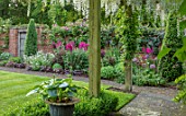 COTTAGE ROW, DORSET: BRICK PATH AND BORDER, SPRING, ALLIUMS, GLADIOLUS COMMUNIS SUBSP. BYZANTINUS, WALL, HOUSE, MORNING, WOODEN, PERGOLA, WHITE WISTERIA, HOSTA IN CONTAINER