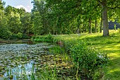 HAZELBY HOUSE, BERKSHIRE: SUMMER, LAKE, POND, POOL, WATER, REFLECTIONS, REFLECTED, LANDSCAPE, PARKLAND