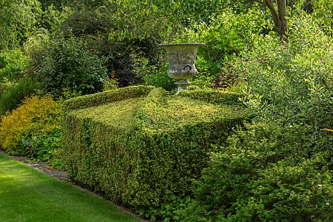 HAZELBY_HOUSE_BERKSHIRE_LAWN_BORDERS_HEDGES_HEDGING_SUMMER_GARDEN_GREEN_STONE_URN_CONTAINER