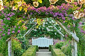 MOTTISFONT ABBEY, HAMPSHIRE: WOODEN PERGOLA, PATHS, WHITE WOODEN BENCH, ROSES, VISTA, FORMAL, COUNTRY, GARDEN, SUMMER